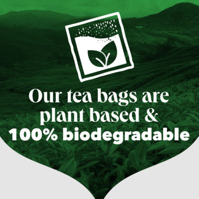 Decaf Black Decaffeinated 70 Tea Bags thumbnail 4