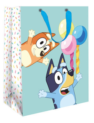 Large Gift Bag
