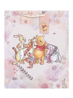 Large Gift Bag
