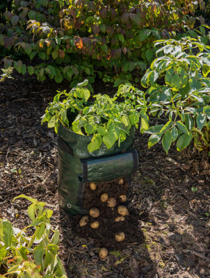Potato Grow Bag 50L 45x32cm