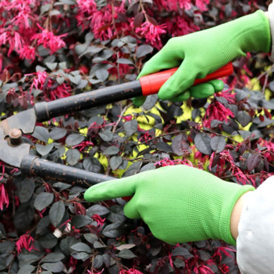 Medium Garden Smooth Gloves thumbnail 3