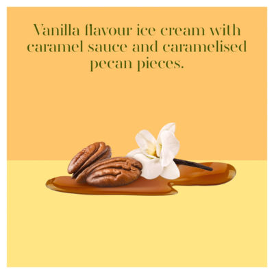 Mini Indulgence Vanilla Caramel Pecan Ice Cream Dessert&nbsp;200 ml thumbnail 4