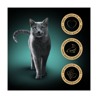 Classics Adult Wet Cat Food with Salmon in Terrine 8 x 85g Tray thumbnail 3