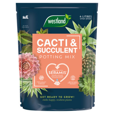 Cacti & Succulent Potting Mix 4 Litres thumbnail 2