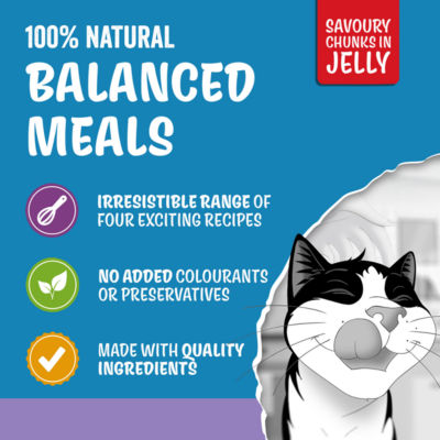 Original Mixed Selection in Jelly Wet Cat Food 40x85g thumbnail 4