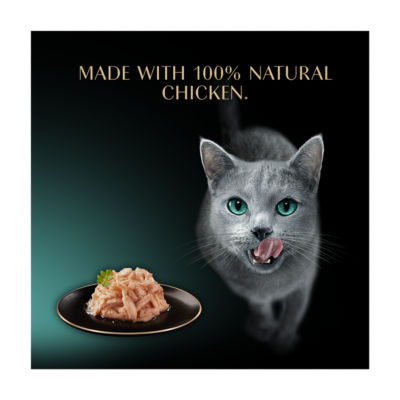 Filets Adult Cat Food Tray with Chicken in Gravy 60g thumbnail 4