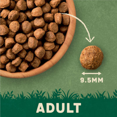 Rich in Lamb & Rice Small Adult Dog Food 1kg thumbnail 4