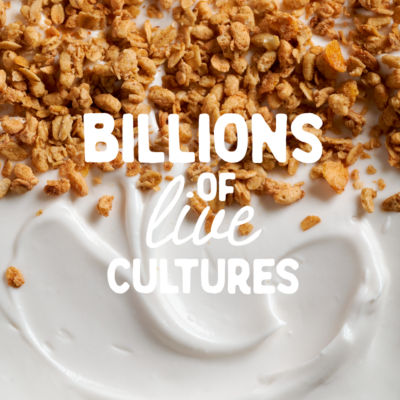 Coconut Yog + Granola 135g thumbnail 4