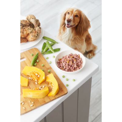 Small Dog Grilled Chicken & Turkey with Pumpkin & Peas Fresh Dog Food 400g thumbnail 4