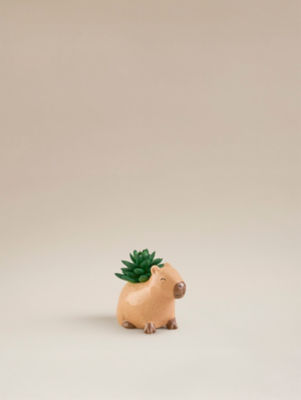 Capybara Succulent thumbnail 2