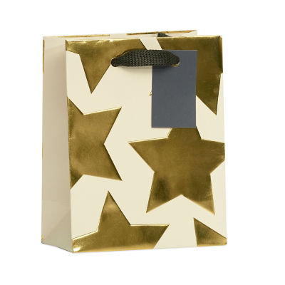 Small Gift Bag thumbnail 2