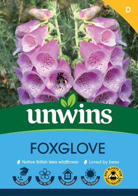 Foxglove thumbnail 2