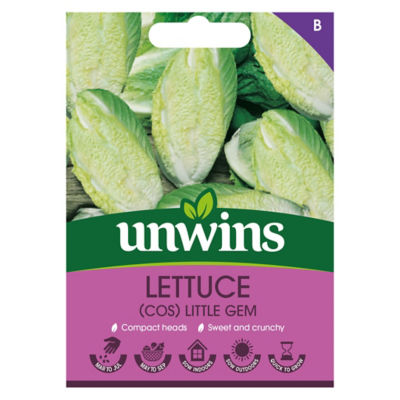Little Gem Lettuce thumbnail 2