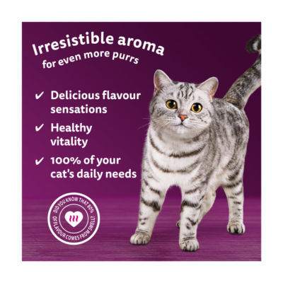 1+ AROMATIC Purrfect POULTRY Wet Cat Food Pouches in Gravy 12 x 85g thumbnail 3
