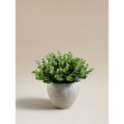 Green Artificial Eucalyptus In Cement Pot