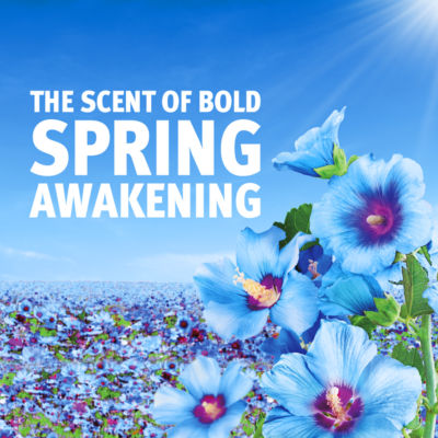 PODS® Washing Capsules 51 Washes Spring Awakening thumbnail 4