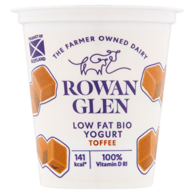Low Fat Toffee Yogurt