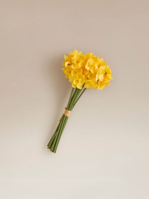 Artificial Daffodils