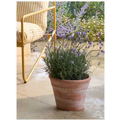 Terracotta Large Ceramic Planter
