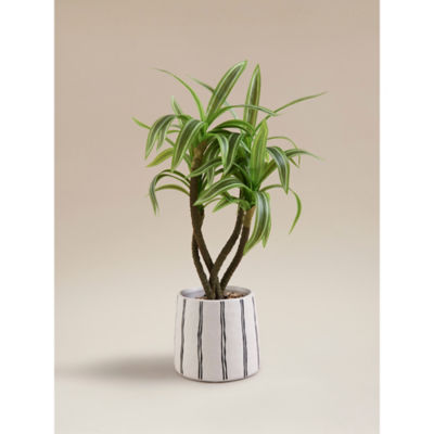 Artificial Variegated Dracaena in Striped & Speckled Pot thumbnail 2