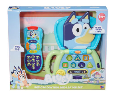 Remote Control and laptop set