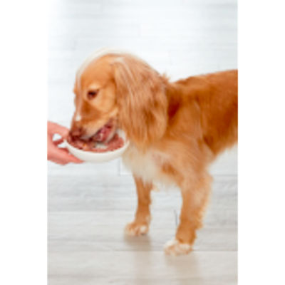 Tender Chicken with Peas & Carrots Fresh Dog Food Roll 2kg thumbnail 4