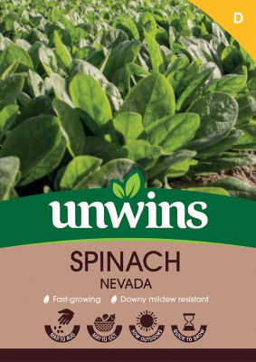 Spinach Nevada thumbnail 2