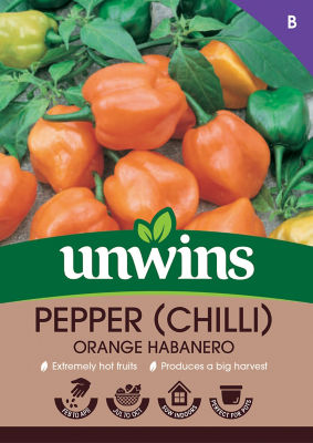 Pepper (Chilli) Orange Habanero thumbnail 2