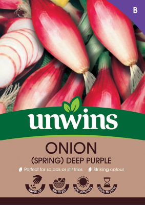 Onion Spring Deep Purple Vegetable thumbnail 2