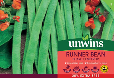 Runner Bean Scarlet Emperor Seeds 25% Extra Free thumbnail 2