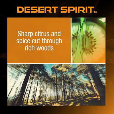 Drvn Gel Can Car Air Freshener- Desert Spirit thumbnail 4
