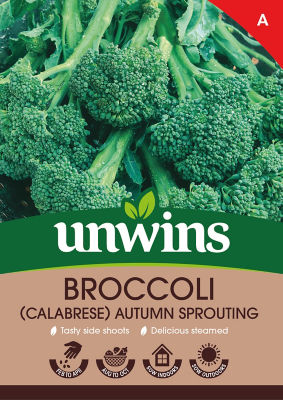 Broccoli (Calabrese) Autumn Sprouting thumbnail 2