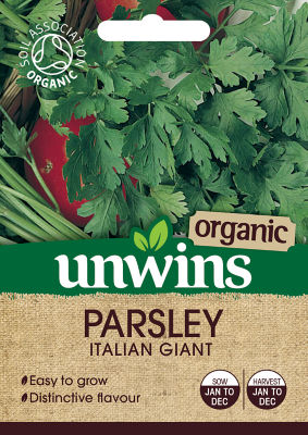 Herb Parsley Italian Giant (Organic) thumbnail 2