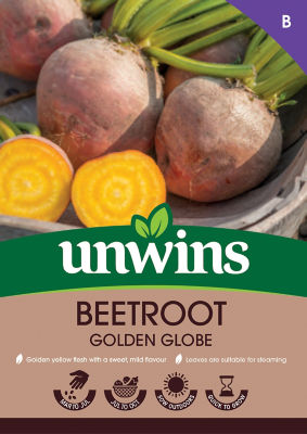 Beetroot Golden Globe thumbnail 2