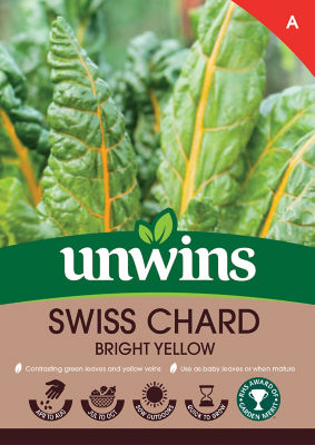 Swiss Chard Bright Yellow thumbnail 2