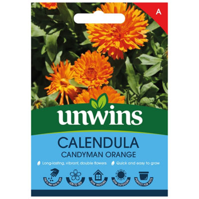 Calendula Candyman Orange