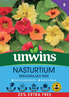 Nasturtium Maharajah Seeds Mix 25% Extra Free