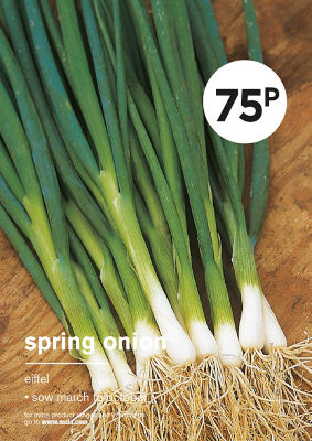 Gyo Spring Onion thumbnail 2