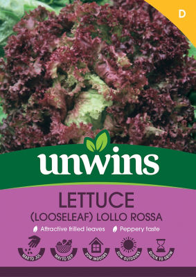Lettuce (Looseleaf) Lollo Rossa
