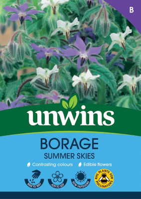 Borage Summer Skies thumbnail 2