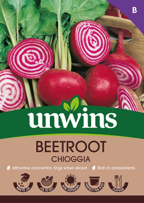 Beetroot Chioggia