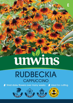 Rudbeckia Cappuccino thumbnail 2
