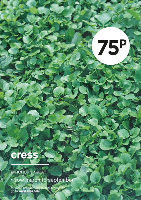 Gyo Cress American Salad thumbnail 2