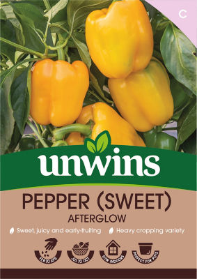 Pepper (Sweet) Afterglow thumbnail 2