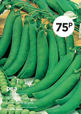 Gyo Pea thumbnail 2