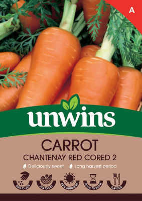 Carrot Chantenay Red Cored 2 thumbnail 2