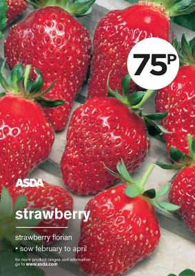 Gyo Strawberry thumbnail 2