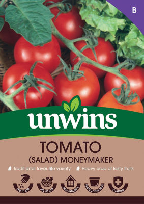 Tomato (Salad) Moneymaker
