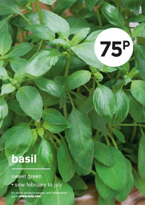 Grow Your Own Basil Herb Seeds