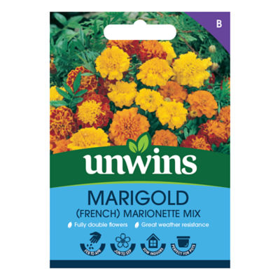 Marigold (French) Marionette Mix